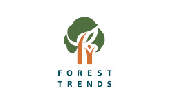 Forest Trends